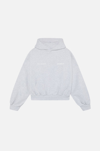 Worldwide Grey Melange Hoodie